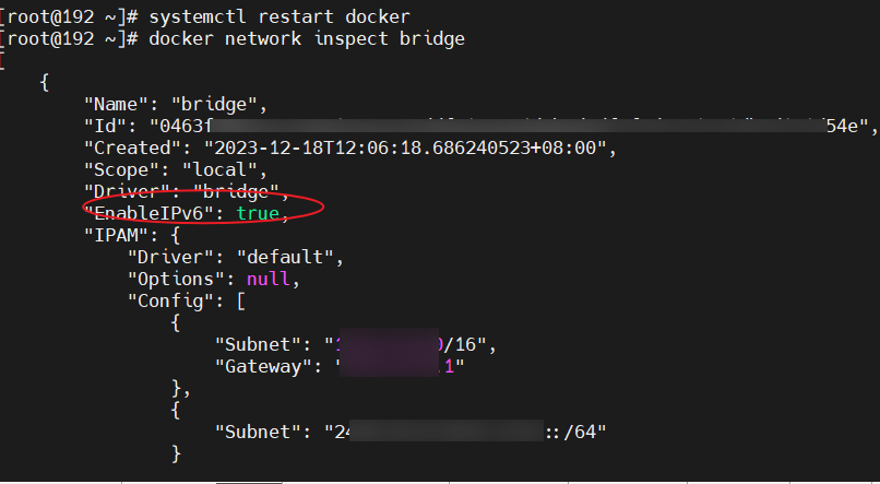 Docker 启用 IPv6 支持