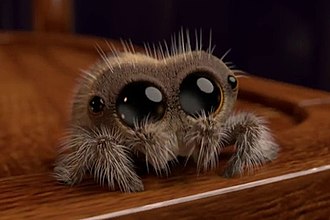 Featured image of post 磨耳朵英语动画片 小跳蛛卢卡斯 Lucas the Spider免费下载